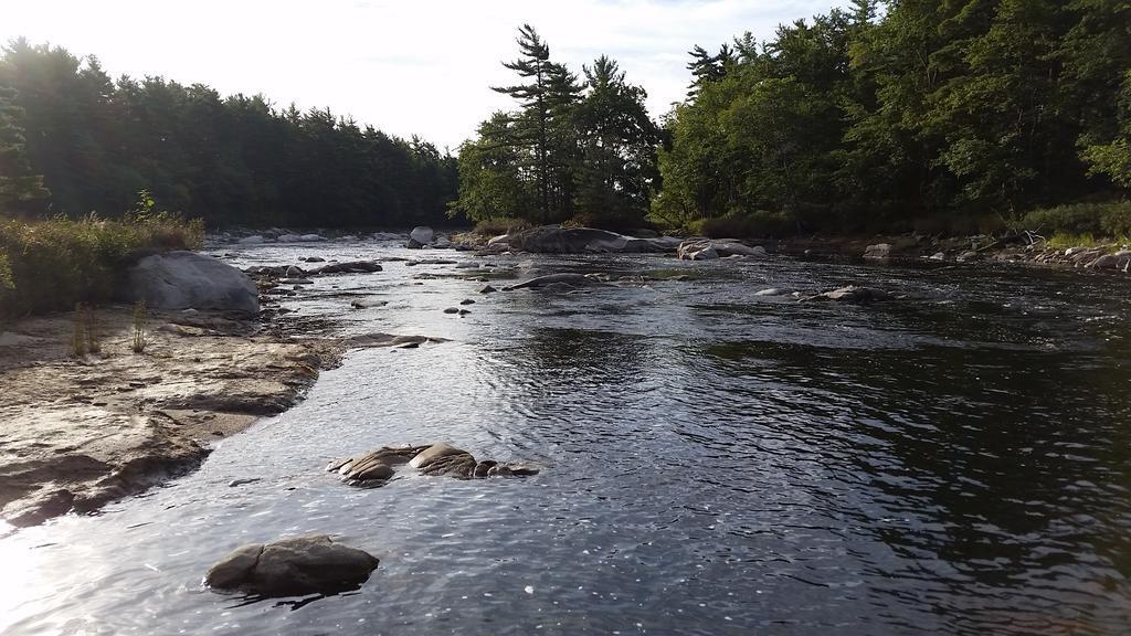 Roseway River Cottages Shelburne Eksteriør billede
