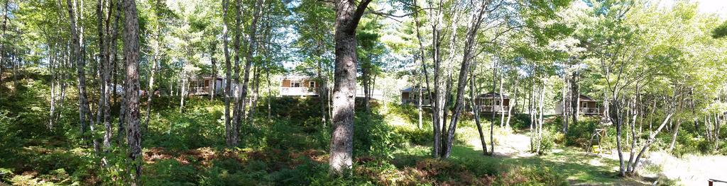 Roseway River Cottages Shelburne Eksteriør billede