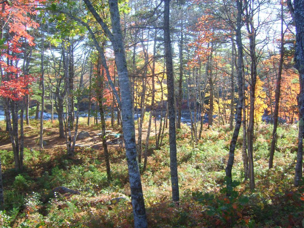 Roseway River Cottages Shelburne Eksteriør billede