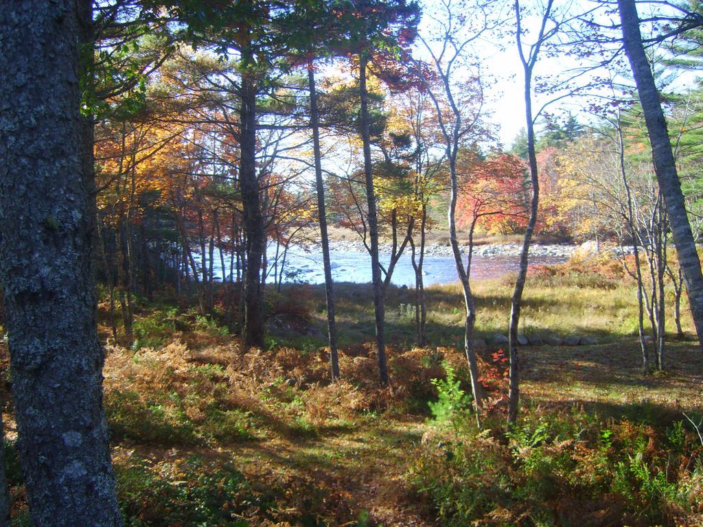 Roseway River Cottages Shelburne Eksteriør billede