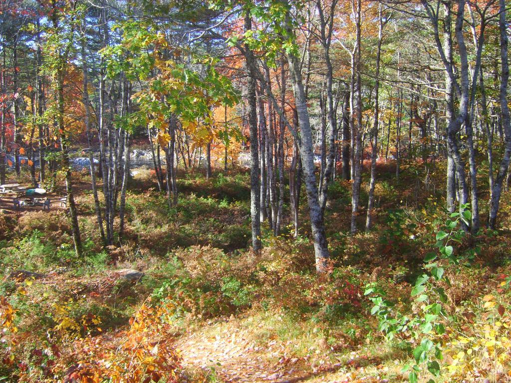 Roseway River Cottages Shelburne Eksteriør billede