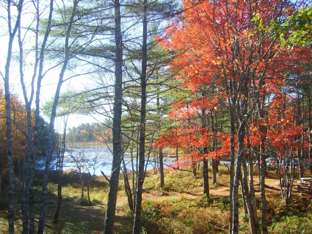 Roseway River Cottages Shelburne Eksteriør billede