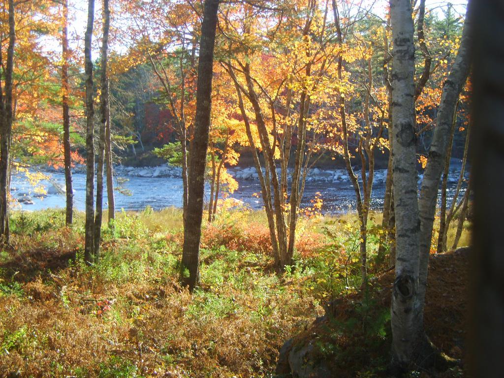 Roseway River Cottages Shelburne Eksteriør billede