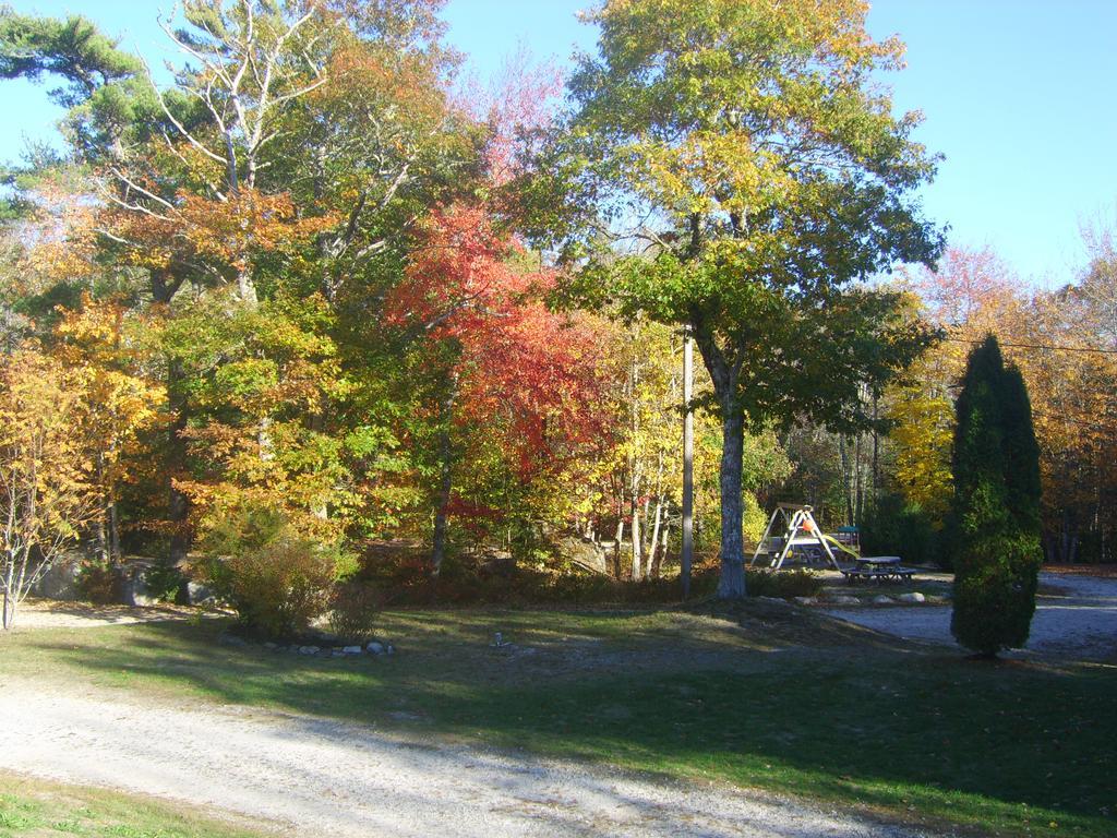 Roseway River Cottages Shelburne Eksteriør billede