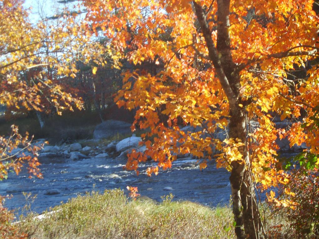 Roseway River Cottages Shelburne Eksteriør billede