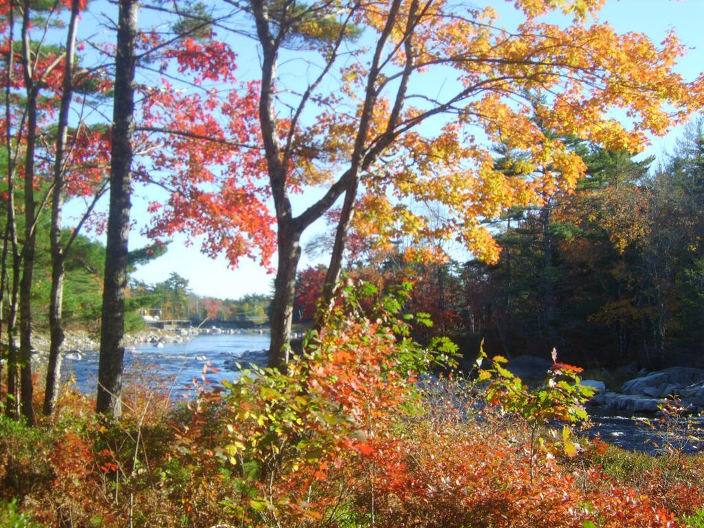 Roseway River Cottages Shelburne Eksteriør billede