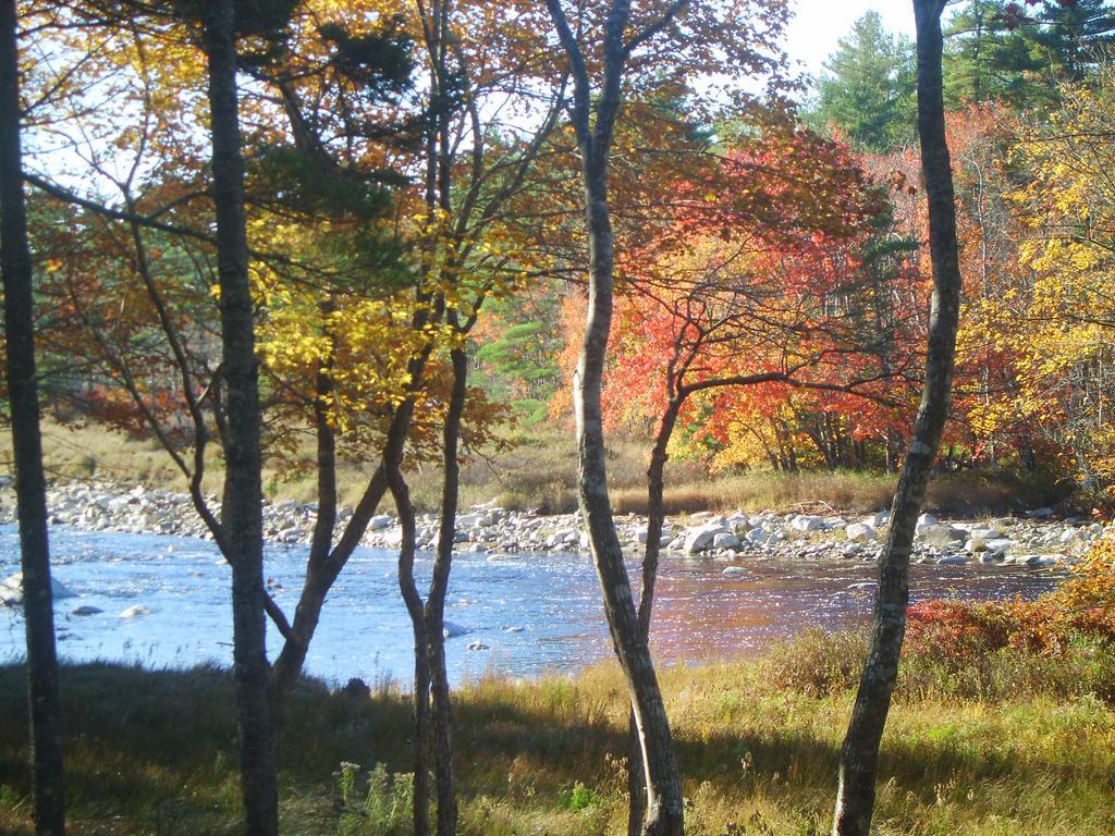 Roseway River Cottages Shelburne Eksteriør billede