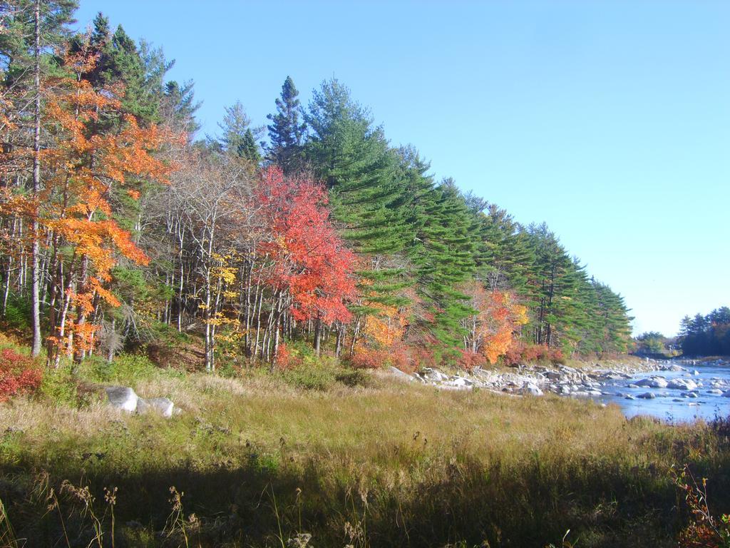 Roseway River Cottages Shelburne Eksteriør billede